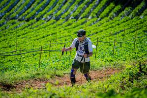 BIB: 
                            <button type="button" onclick="openModal(19163017)" class="btn btn-primary btn-sm float-right btn-popup" data-toggle="modal" data-target=".modal-high-quality">
                        <i class="fas fa-shopping-cart"></i> Add to Cart
                    </button>
                                            <button type="button" onclick="isThisMe(19163017, true)" class="btn btn-success btn-sm float-right btn-popup btn-isme hidden" data-toggle="tooltip" data-placement="bottom" title="นี่คือรูปของคุณใช่ไหม คลิกที่นี่เพื่อเอาเข้าอัลบั้ม">
                        <i class="fas fa-plus"></i> Add to album
                    </button>
                    <button type="button" onclick="isThisMe(19163017, false)" class="btn btn-warning btn-sm float-right btn-popup btn-isnotme hidden">
                        <i class="fas fa-ban"></i> Remove from album
                    </button>